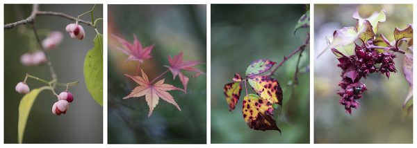 Collage Herbstblätter